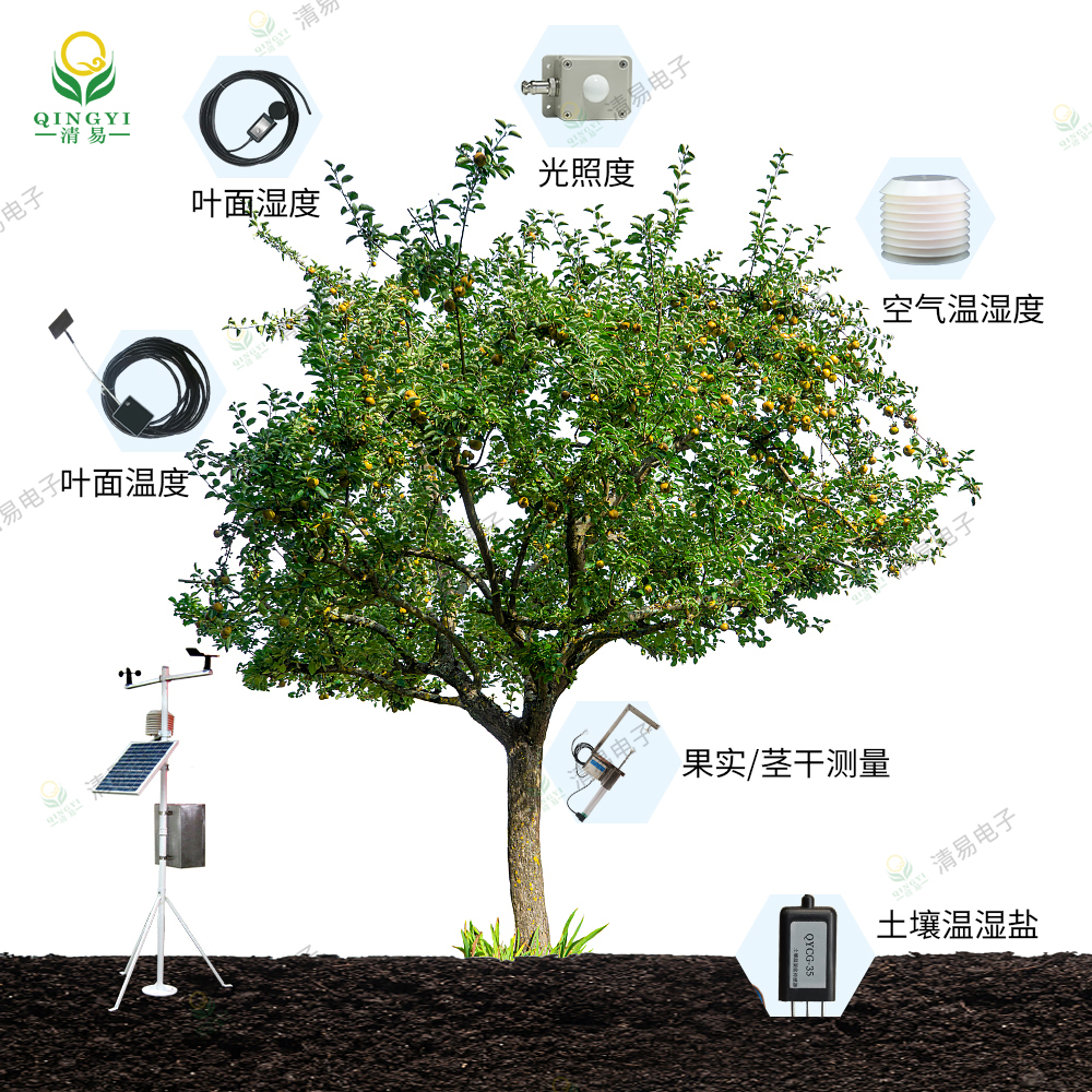植物生理生态监测爱游戏平台(中国)官方网站的解决方案